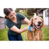 image:imageAquapaw 5in1 Horse amp Dog Bath Brush amp Curry Comb  XL Blue Silicone  Includes 3ft Shower Hose Attachment amp Adapter  Adjustable Spray Scrub Massager  Great for Horses amp Big DogsLarge