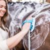 image:imageAquapaw 5in1 Horse amp Dog Bath Brush amp Curry Comb  XL Blue Silicone  Includes 3ft Shower Hose Attachment amp Adapter  Adjustable Spray Scrub Massager  Great for Horses amp Big DogsXLarge