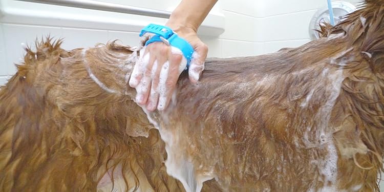 Aquapaw – An Easier Way to Bathe and Groom Your Pet